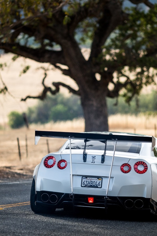 Белый Nissan GT-R на загородном шоссе