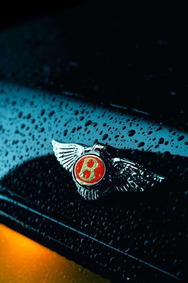 Знак на мокром автомобиле