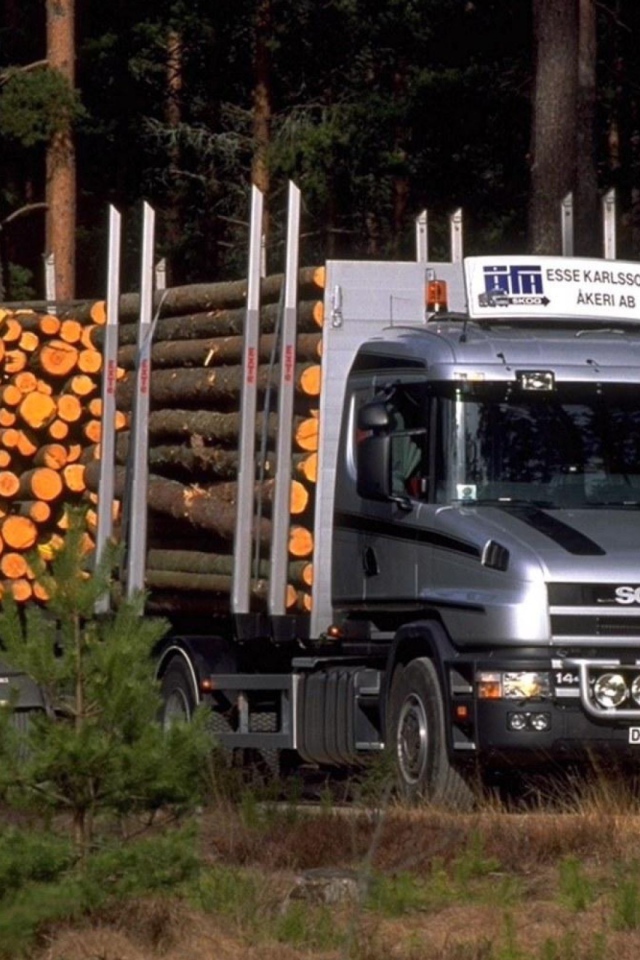 Тягач Scania везет лес