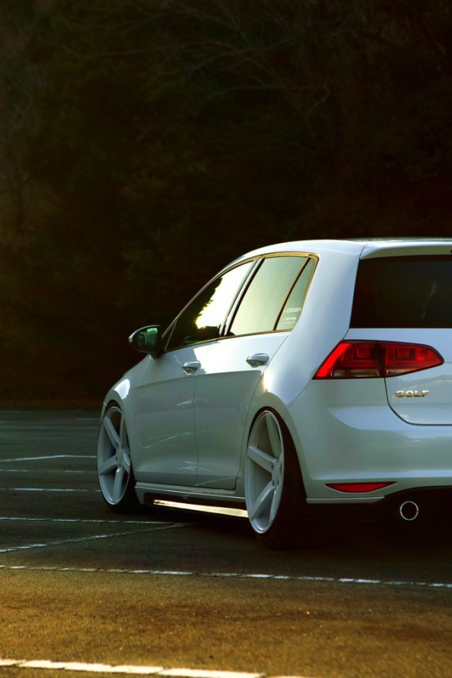 Семейный автомобиль Volkswagen golf 7