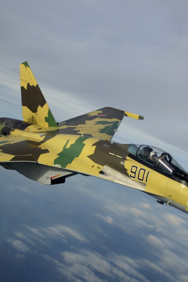 Самолет с маскировочным окрасом