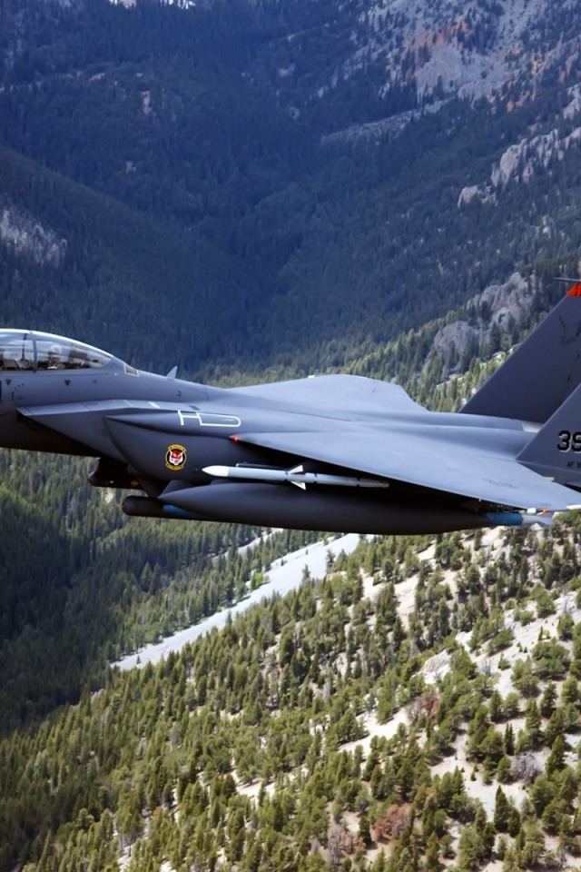 Истребитель F-15 Eagle над горным лесом