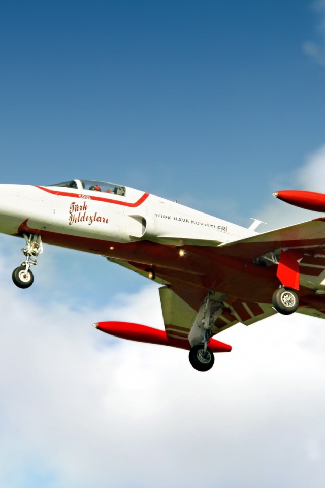 Истребитель турецких ВВС