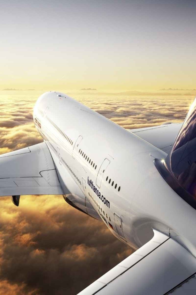 Логотип Люфтганза на черном хвосте самолета