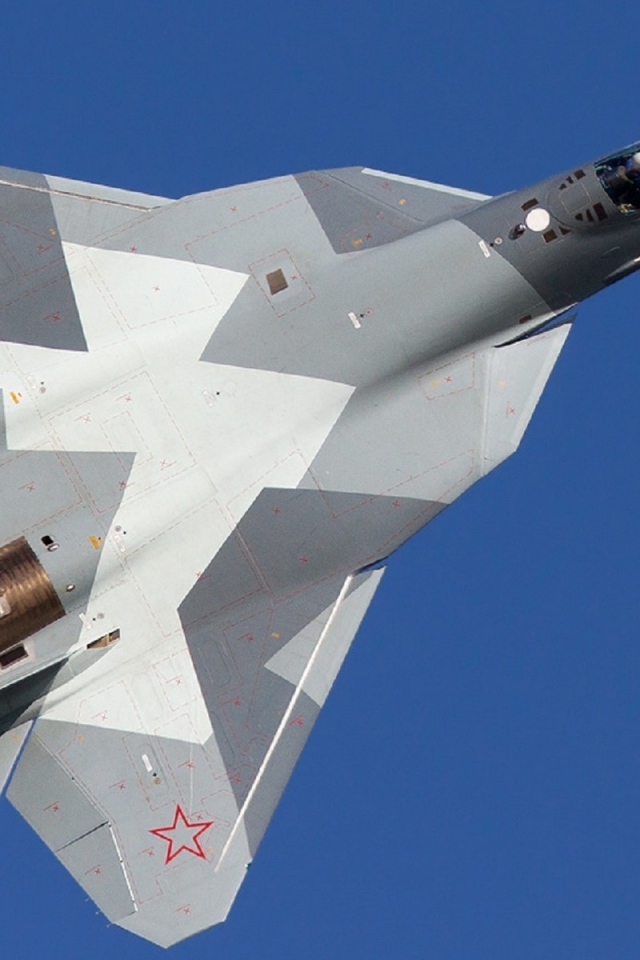 Военный самолет T-50 на фоне неба