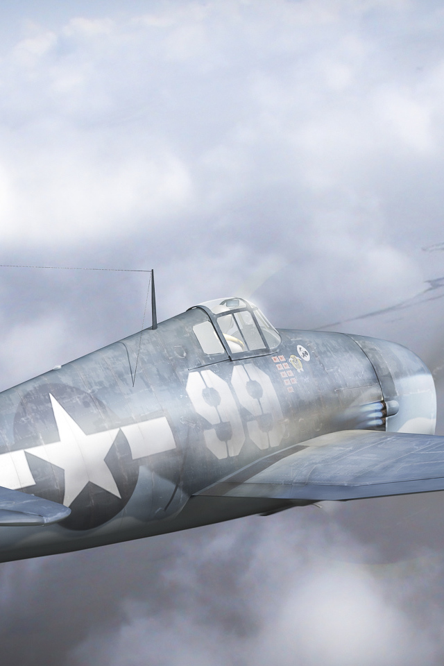 Самолет в воздушном бою