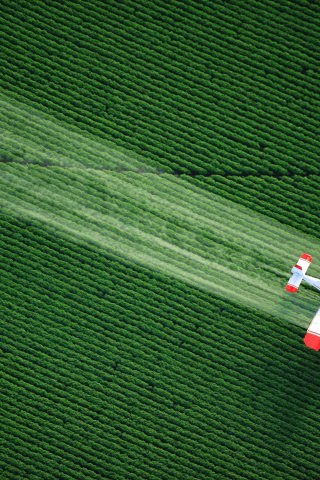 Самолет распыляет удобрения над полем