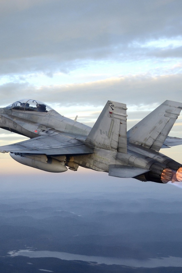 Реактивный самолет McDonnell Douglas CF-18 Hornet