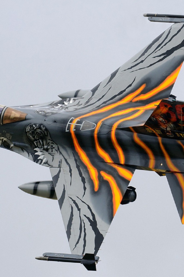Тигровая раскраска самолета F-16