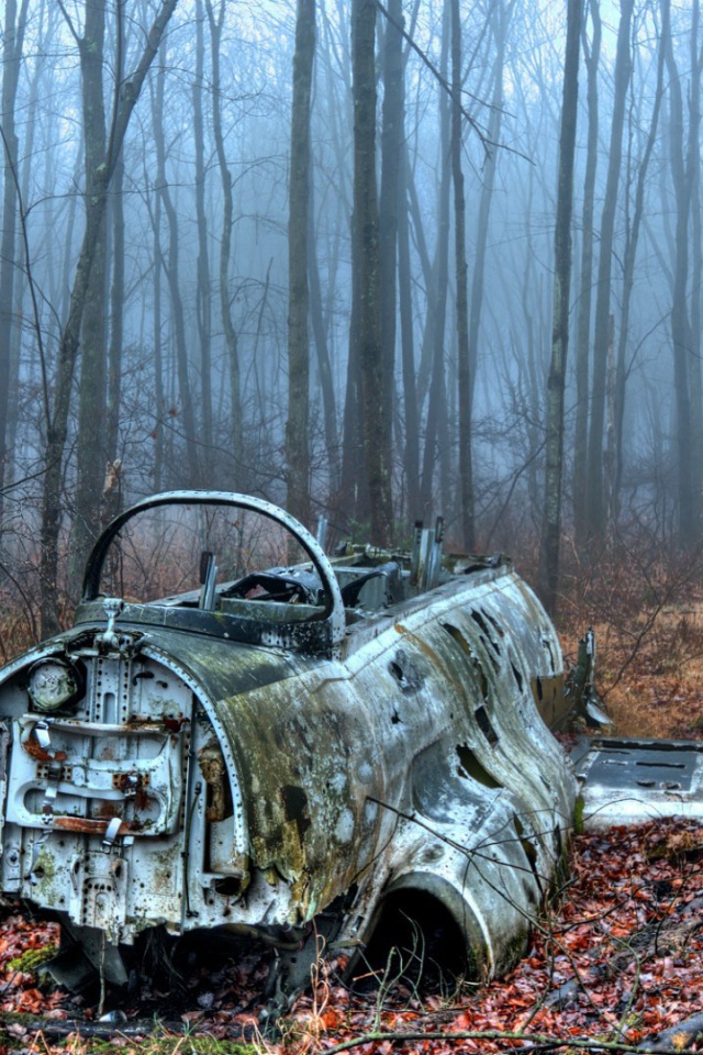 Обломки самолета в лесу