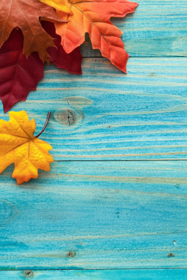 Осенние листья на голубых досках