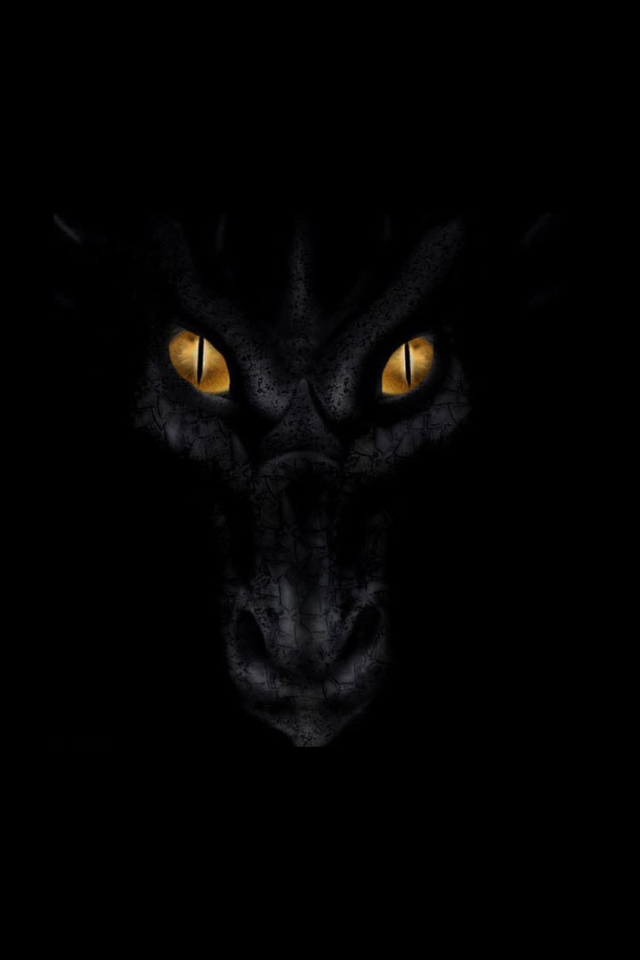 Черный дракон смотрит из тьмы