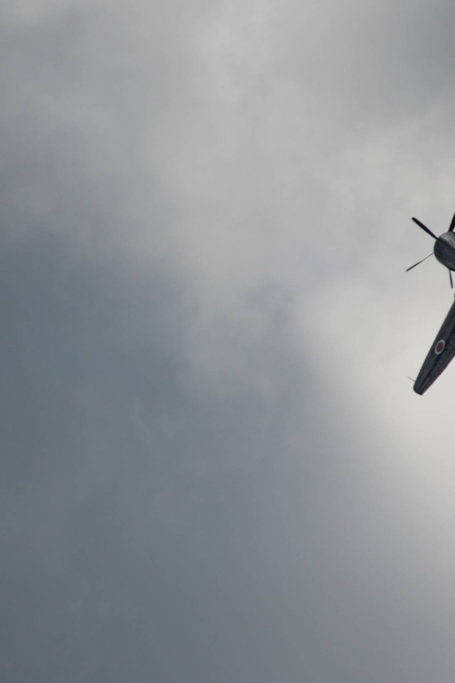 Черный самолет, серый фон