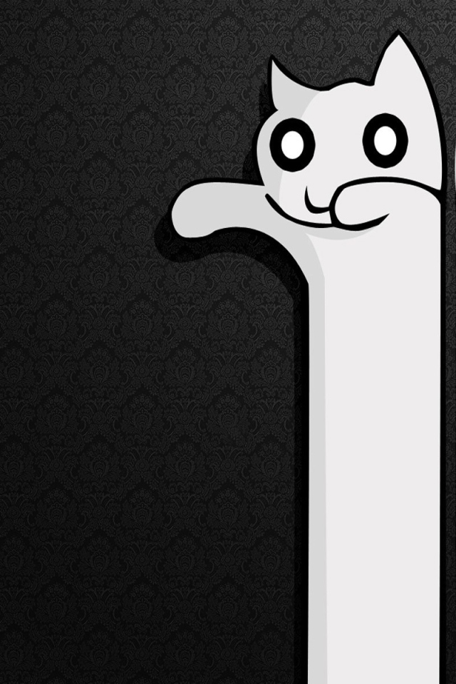 Белый и черный кот, фон