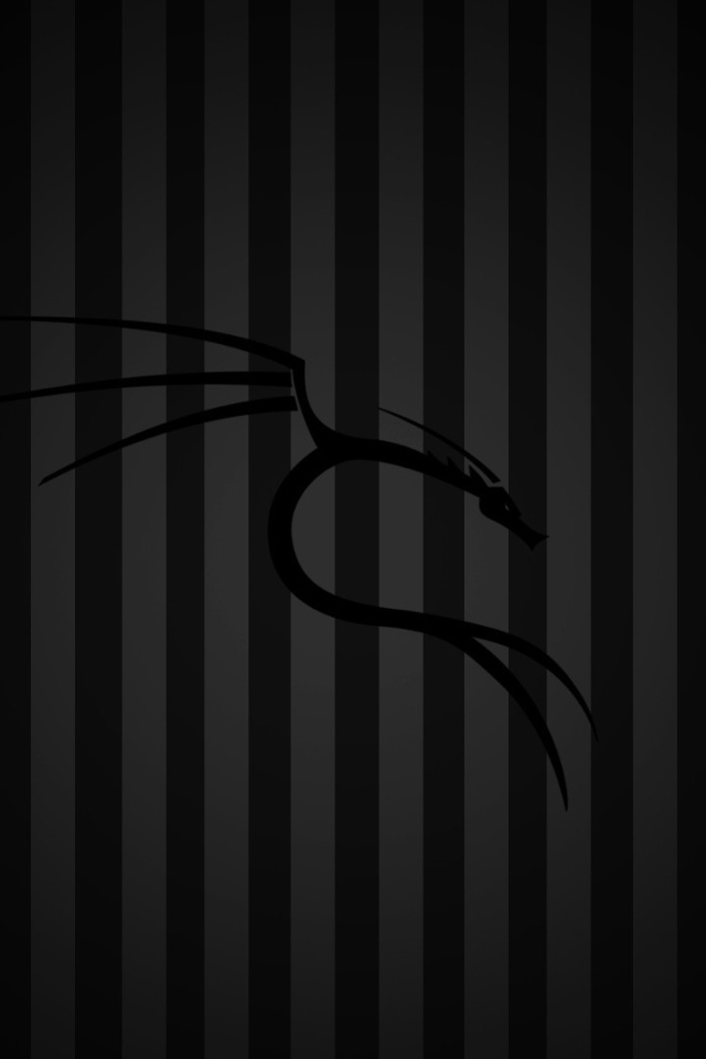 Черный фон Kali Linux