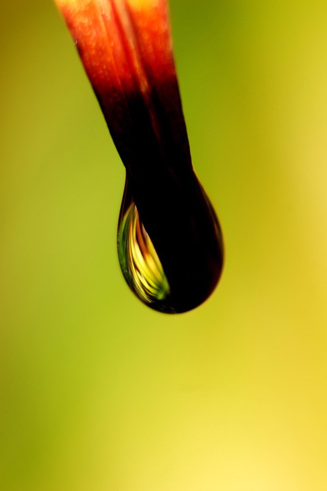 Черная капля