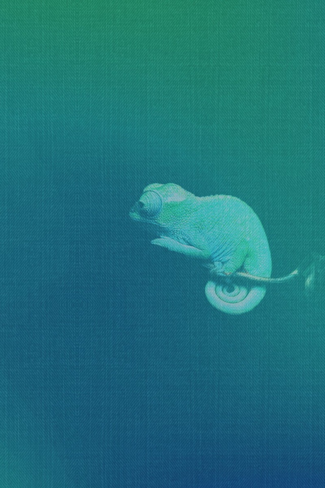 Chameleon, blue background Ubuntu