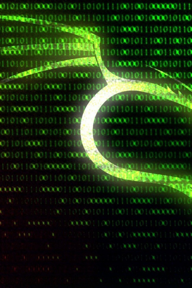 Цифровой фон Kali Linux