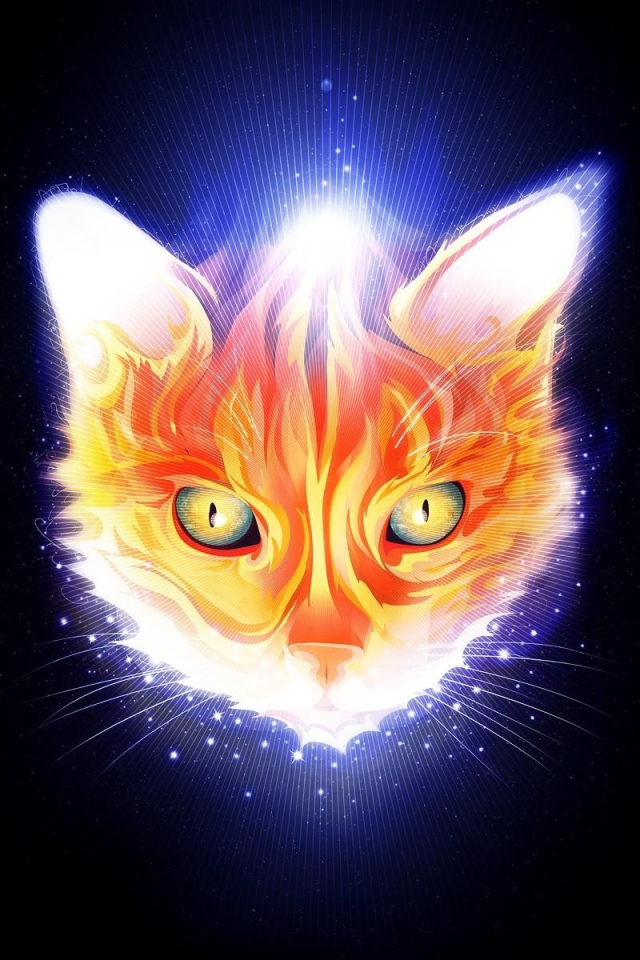 Огненная мордочка кота, черный фон