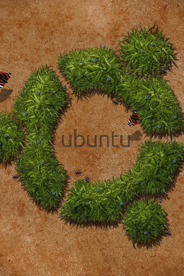 Трава в пустыне, фон Ubuntu