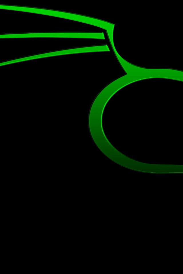 Зеленый дракон на черном фоне Kali Linux