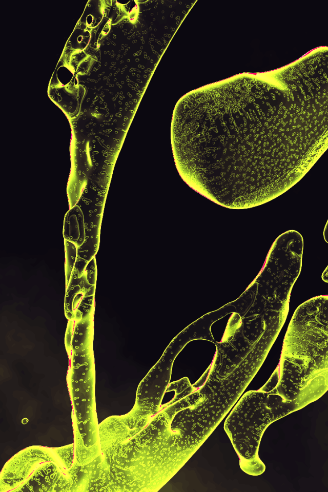 Капли зеленой жидкости на черном фоне