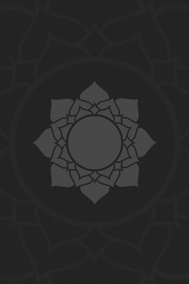 Цветок лотоса, темно серый фон