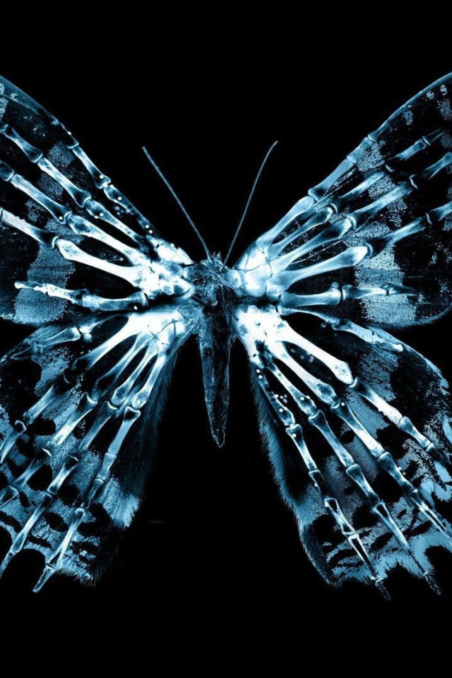 Неоновая фигура бабочки