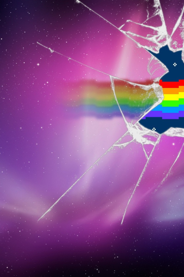 Нян кот разбил стекло