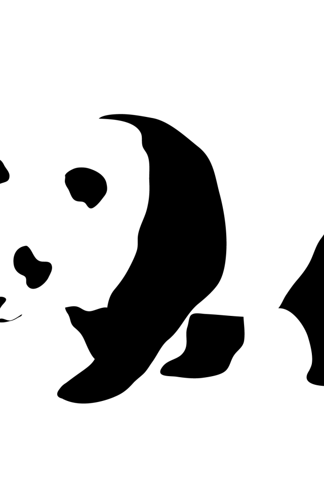 Панда, черно белый фон