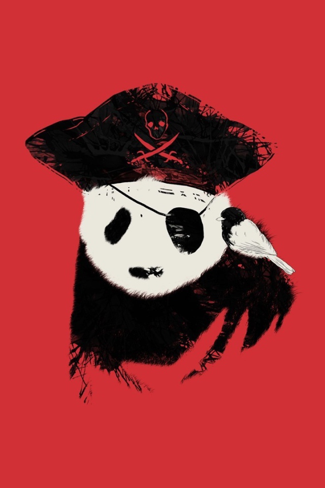 Панда пират, красный фон