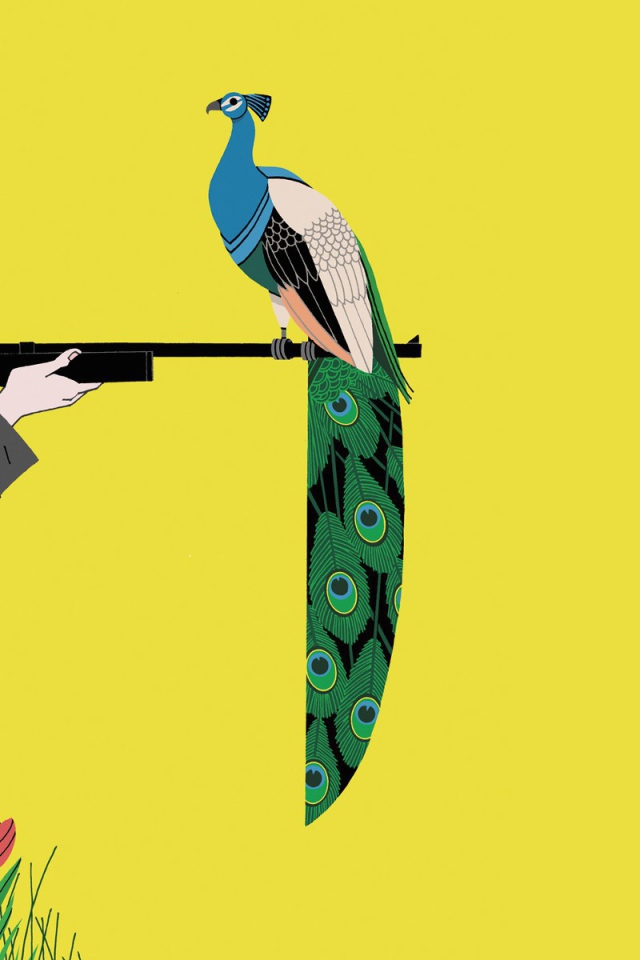 Фазан на ружье охотника, желтый фон