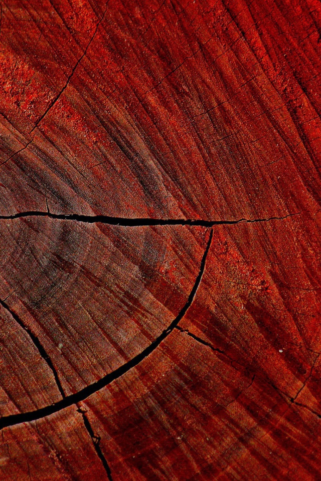 Красный спил дерева