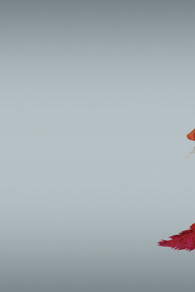 Красная лиса, серый фон