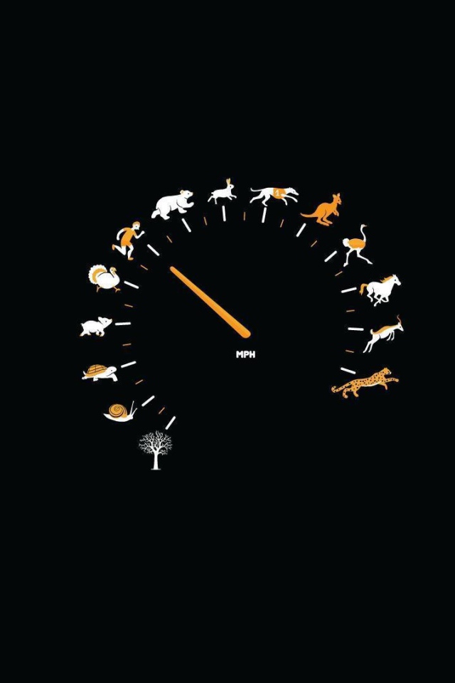 Спидометр для блондинок