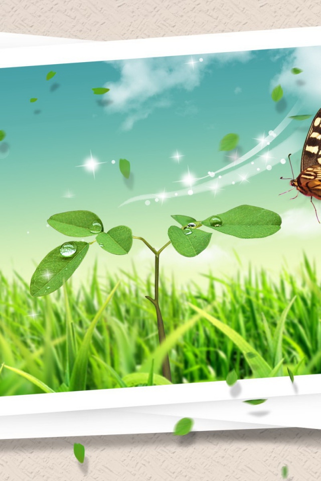 Летняя открытка с бабочкой