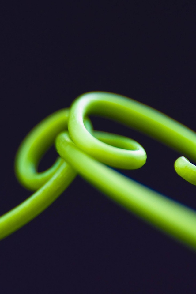 Нежные зеленые ростки на темном фоне