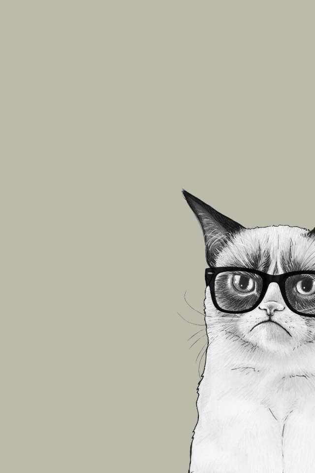 Кот в очках, серый фон
