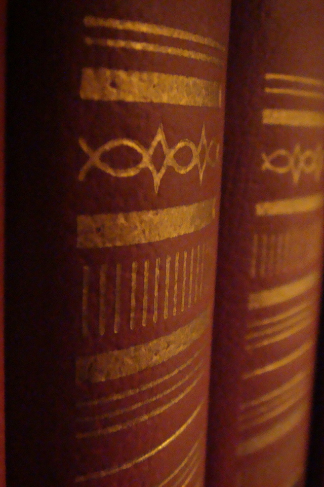 Корешки книг