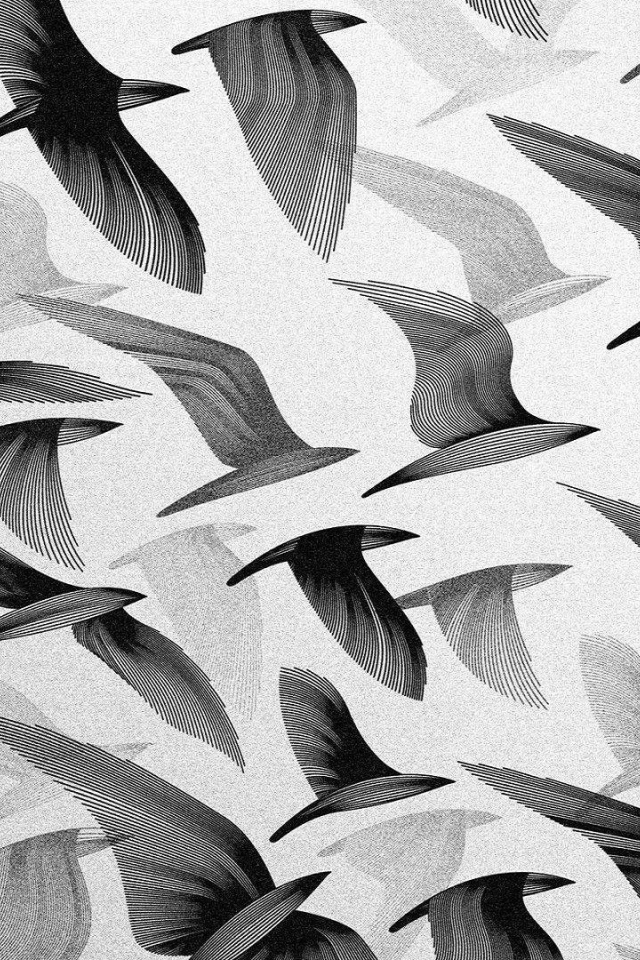 Черные птицы, серый фон