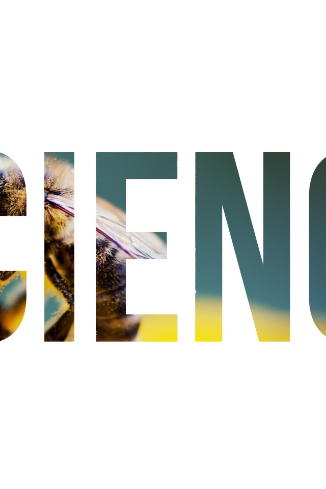 Надпись Наука на фоне пчелы