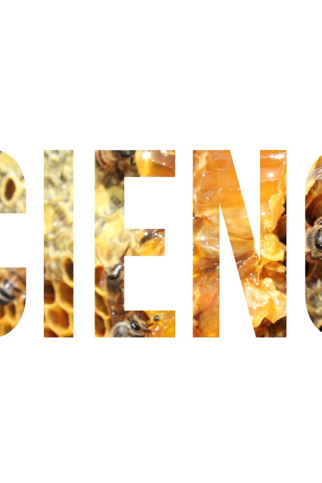 Надпись Наука на фоне улья