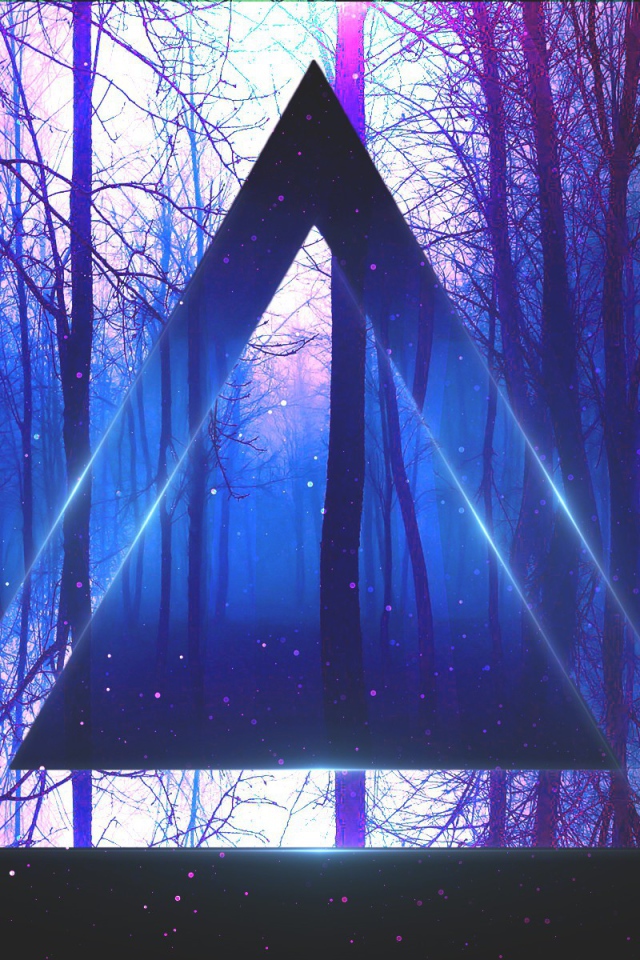 Треугольник на фоне веток