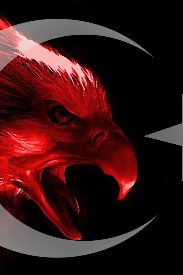 Турецкий красный орел