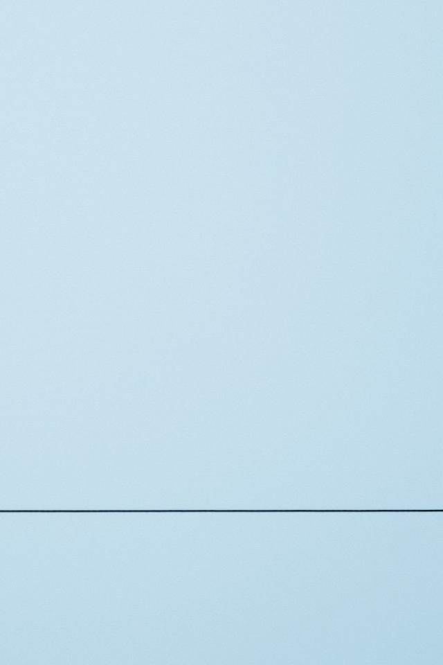 Две птицы на канате, голубой фон