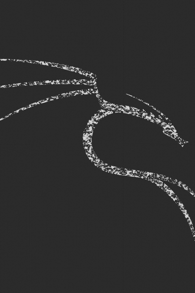 Белый дракон Kali Linux NetHunter
