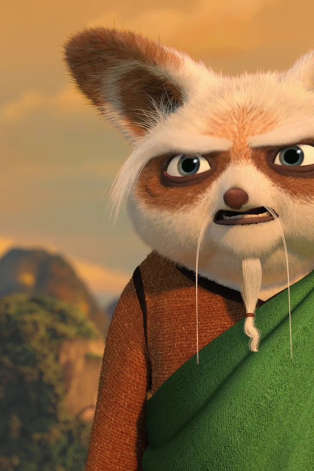 Мудрый учитель, мультфильм Кунг-фу панда