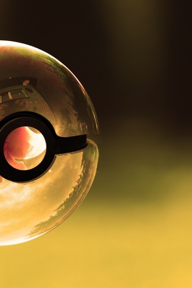 Покемон в прозрачном покеболле