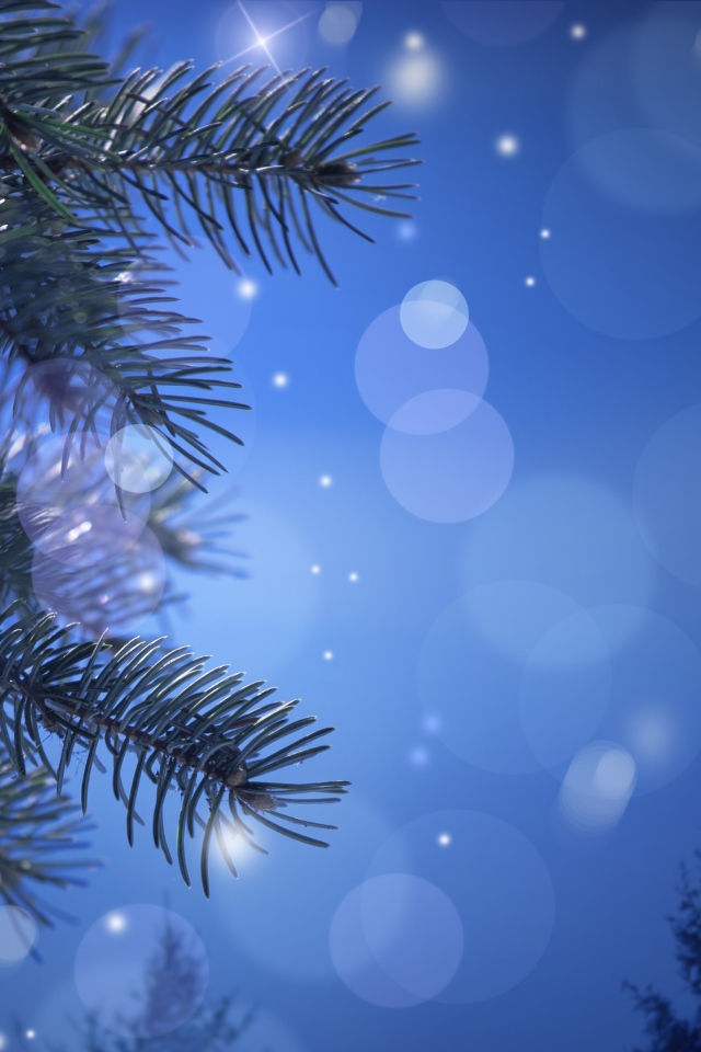 Новогодняя лунная ночь