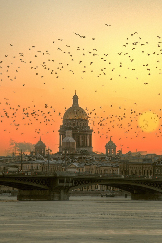 Стая птиц над Невой